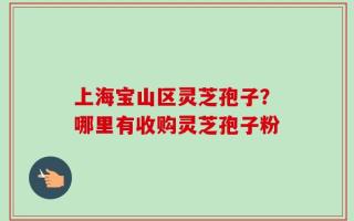 上海宝山区灵芝孢子？哪里有收购灵芝孢子粉