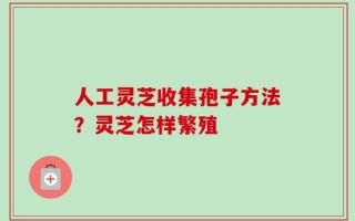 人工灵芝收集孢子方法？灵芝怎样繁殖