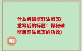 什么叫破壁野生灵芝(重写后的标题：探秘破壁后野生灵芝的功效)