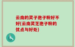 云南的灵子孢子粉好不好(云南灵芝孢子粉的优点与好处)