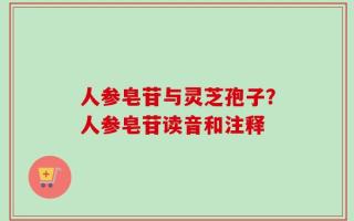人参皂苷与灵芝孢子？人参皂苷读音和注释