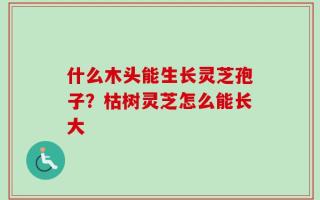 什么木头能生长灵芝孢子？枯树灵芝怎么能长大