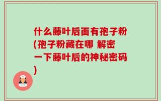 什么藤叶后面有孢子粉(孢子粉藏在哪 解密一下藤叶后的神秘密码)