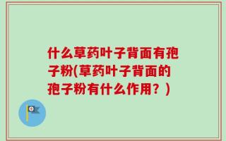什么草药叶子背面有孢子粉(草药叶子背面的孢子粉有什么作用？)