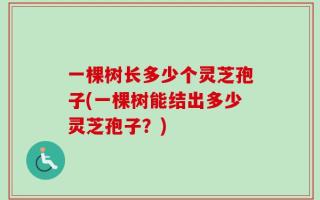 一棵树长多少个灵芝孢子(一棵树能结出多少灵芝孢子？)