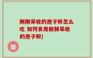 刚刚采收的孢子粉怎么吃 如何食用新鲜采收的孢子粉)