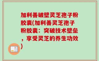 加利善破壁灵芝孢子粉胶囊(加利善灵芝孢子粉胶囊：突破技术壁垒，享受灵芝的养生功效)