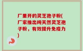 厂里开的灵芝孢子粉(厂家推出纯天然灵芝孢子粉，有效提升免疫力)