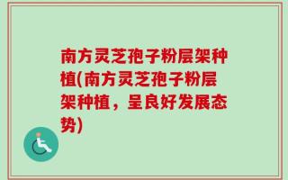 南方灵芝孢子粉层架种植(南方灵芝孢子粉层架种植，呈良好发展态势)