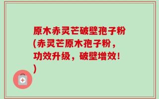 原木赤灵芒破壁孢子粉(赤灵芒原木孢子粉，功效升级，破壁增效！)