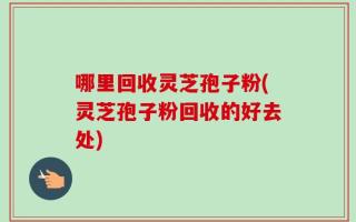 哪里回收灵芝孢子粉(灵芝孢子粉回收的好去处)