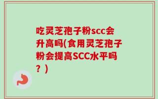 吃灵芝孢子粉scc会升高吗(食用灵芝孢子粉会提高SCC水平吗？)