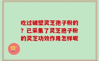 吃过破壁灵芝孢子粉的？已采集了灵芝孢子粉的灵芝功效作用怎样呢