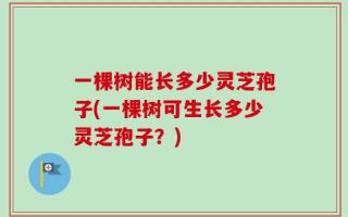 一棵树能长多少灵芝孢子(一棵树可生长多少灵芝孢子？)