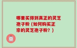 哪里买得到真正的灵芝孢子粉 (如何购买正宗的灵芝孢子粉？)