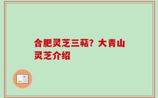 合肥灵芝三萜？大青山灵芝介绍