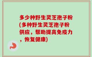 多少种野生灵芝孢子粉(多种野生灵芝孢子粉供应，帮助提高免疫力，恢复健康)