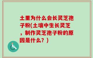 土里为什么会长灵芝孢子粉(土壤中生长灵芝，制作灵芝孢子粉的原因是什么？)