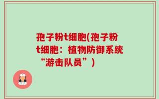 孢子粉t细胞(孢子粉t细胞：植物防御系统“游击队员”)