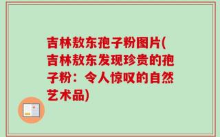 吉林敖东孢子粉图片(吉林敖东发现珍贵的孢子粉：令人惊叹的自然艺术品)