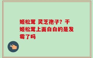 姬松茸 灵芝孢子？干姬松茸上面白白的是发霉了吗