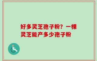 好多灵芝孢子粉？一棵灵芝能产多少孢子粉