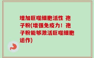 增加巨噬细胞活性 孢子粉(增强免疫力！孢子粉能够激活巨噬细胞运作)