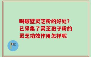 喝破壁灵芝粉的好处？已采集了灵芝孢子粉的灵芝功效作用怎样呢