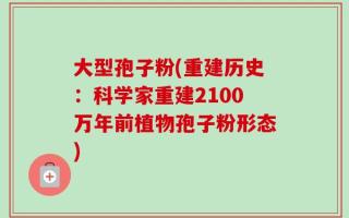 大型孢子粉(重建历史：科学家重建2100万年前植物孢子粉形态)