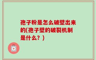 孢子粉是怎么破壁出来的(孢子壁的破裂机制是什么？)