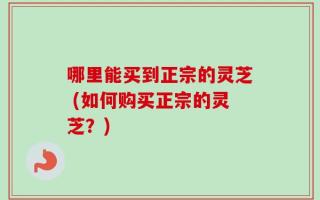 哪里能买到正宗的灵芝 (如何购买正宗的灵芝？)