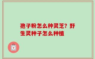 孢子粉怎么种灵芝？野生灵种子怎么种植