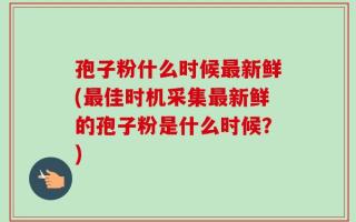 孢子粉什么时候最新鲜(最佳时机采集最新鲜的孢子粉是什么时候？)