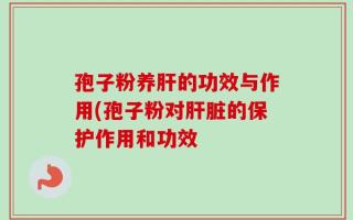 孢子粉养肝的功效与作用(孢子粉对肝脏的保护作用和功效