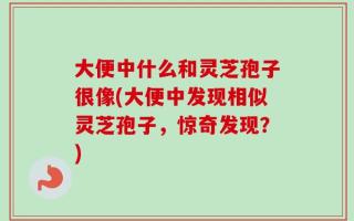 大便中什么和灵芝孢子很像(大便中发现相似灵芝孢子，惊奇发现？)