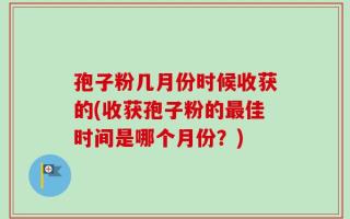 孢子粉几月份时候收获的(收获孢子粉的最佳时间是哪个月份？)