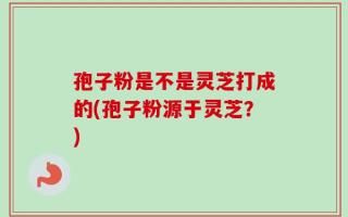 孢子粉是不是灵芝打成的(孢子粉源于灵芝？)