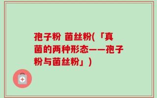 孢子粉 菌丝粉(「真菌的两种形态——孢子粉与菌丝粉」)