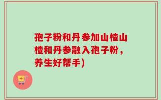 孢子粉和丹参加山楂山楂和丹参融入孢子粉，养生好帮手)