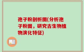 孢子粉剖析图(分析孢子粉图，研究古生物植物演化特征)
