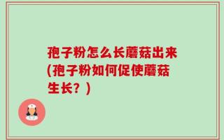 孢子粉怎么长蘑菇出来(孢子粉如何促使蘑菇生长？)