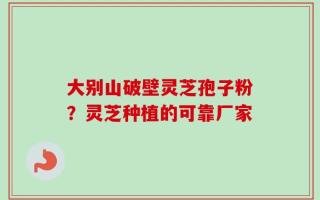 大别山破壁灵芝孢子粉？灵芝种植的可靠厂家