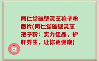 同仁堂破壁灵芝孢子粉图片(同仁堂破壁灵芝孢子粉：实力佳品，护肝养生，让你更健康)