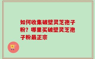 如何收集破壁灵芝孢子粉？哪里买破壁灵芝孢子粉最正宗