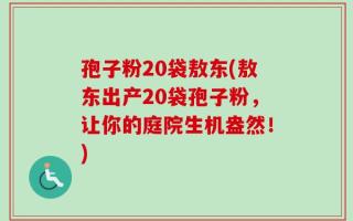 孢子粉20袋敖东(敖东出产20袋孢子粉，让你的庭院生机盎然！)