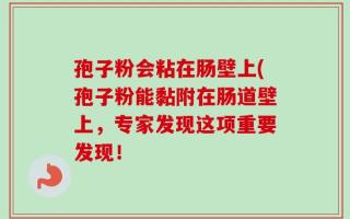 孢子粉会粘在肠壁上(孢子粉能黏附在肠道壁上，专家发现这项重要发现！