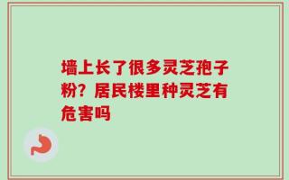 墙上长了很多灵芝孢子粉？居民楼里种灵芝有危害吗