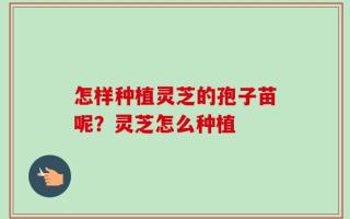 怎样种植灵芝的孢子苗呢？灵芝怎么种植