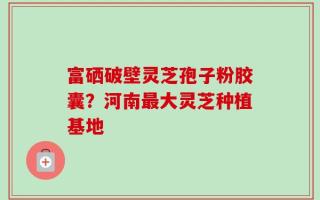 富硒破壁灵芝孢子粉胶囊？河南最大灵芝种植基地