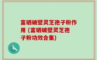 富硒破壁灵芝孢子粉作用 (富硒破壁灵芝孢子粉功效合集)